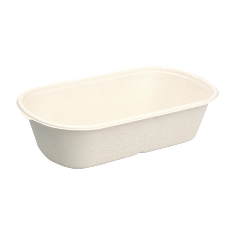 HN Series 1000ml Salad Box